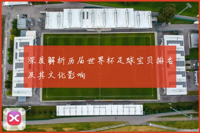 深度解析历届世界杯足球宝贝排名及其文化影响