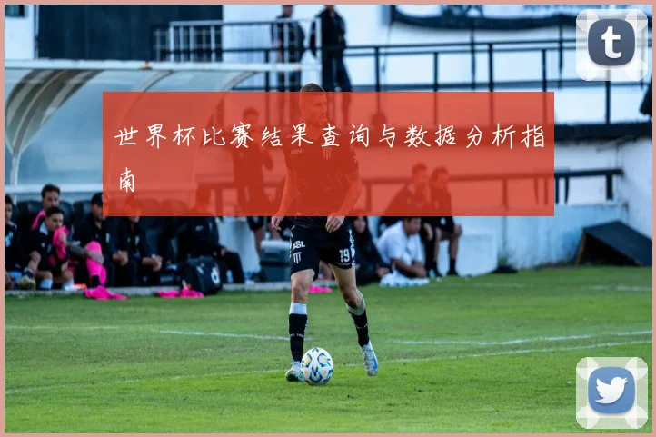 世界杯比赛结果查询与数据分析指南