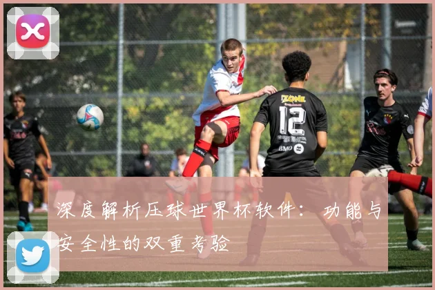 深度解析压球世界杯软件:功能与安全性的双重考验