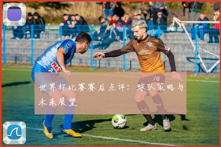世界杯比赛赛后点评：球队策略与未来展望
