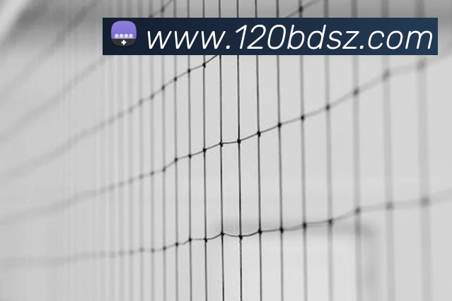 App Interface Preview